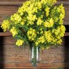 Mimosa Bouquet paint by number