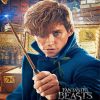 Newt Scamander Poster paint by number