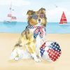 Patriotic Dog In Beach paint by number