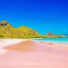 Pink Sand Beach Indonesia paint by number
