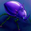 Purple Beetle Art paint by number