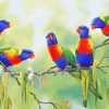 Rainbow Lorikeets paint by number