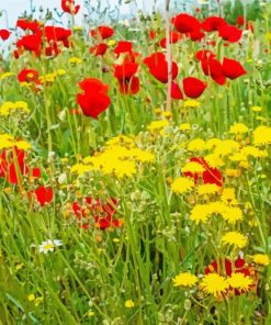 Red And Yellow Flowers Field paint by number