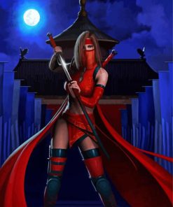 Red Kunoichi Ninja Lady paint by number