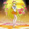 Sailor Venus With Roses paint by number