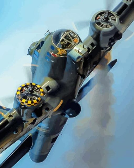 Sally B Bomber Art paint by number