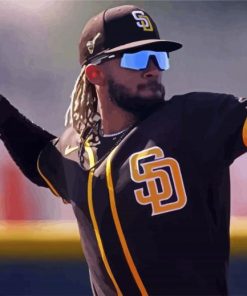 San Diego Padres Baseball Team Player paint by number