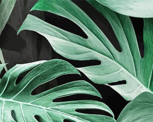 Swiss Cheese Plant Leaves paint by number