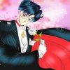 Tuxedo Mask Cartoon paint by number