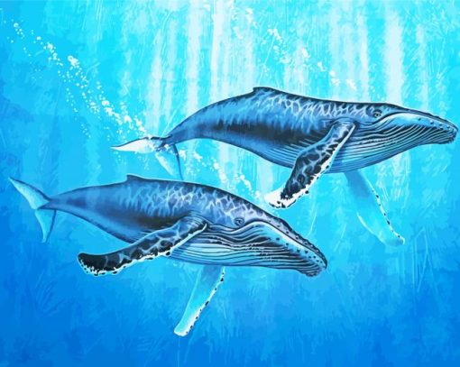 Two Humpback Whale paint by number
