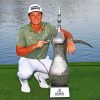Viktor Hovland Champion paint by number