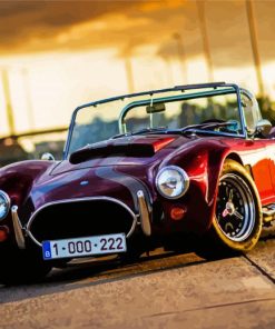 Vintage Ford Shelby Cobra Car paint by number