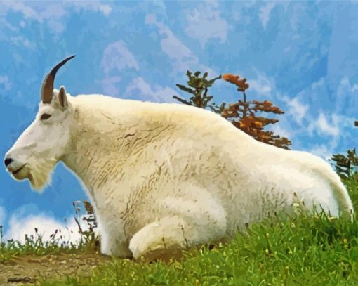 Wild Mountain Goat paint by number
