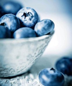 Bowl Of Blueberries Fruit paint by number