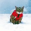 Cat In Winter Snow paint by number