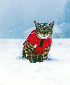 Cat In Winter Snow paint by number