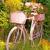 Garden And Bicycle paint by number