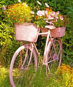 Garden And Bicycle paint by number