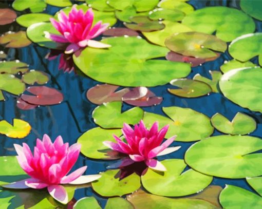 Pink Lily Pond paint by number
