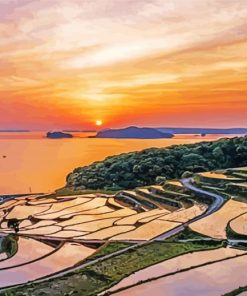 Rice Field Sunset Nagasaki paint by number