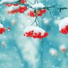 Snow On Berries Fruit Tree paint by number