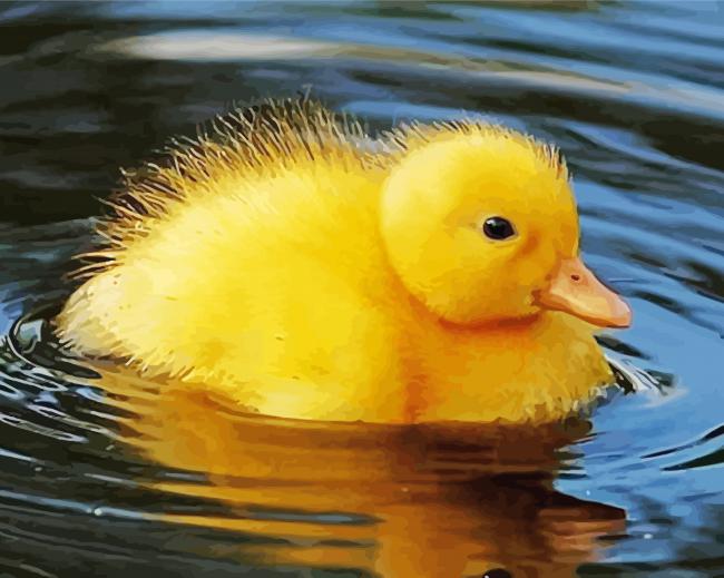 Yellow Duck Swimming paint by number