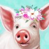 Adorable Floral Pig paint by number