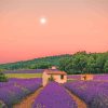 Aesthetic Cottage And Lavender Field paint by number