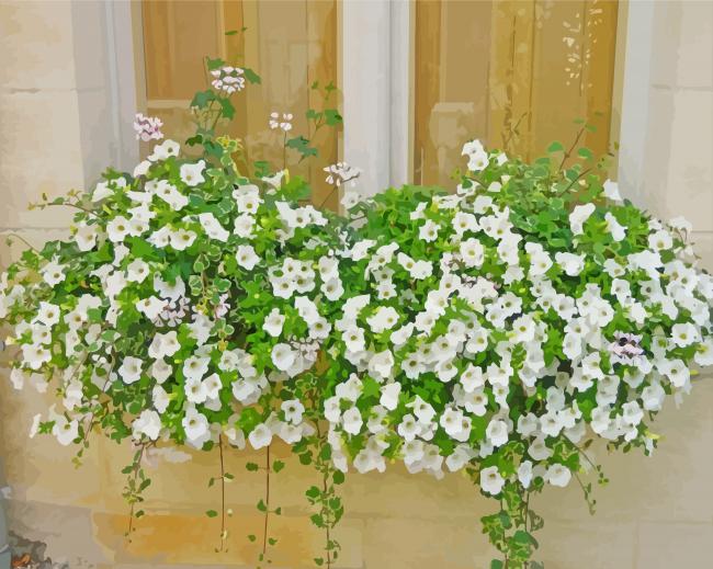 Aesthetic Window With White Flowers paint by number