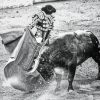 Black And White Bull And Matador paint by number