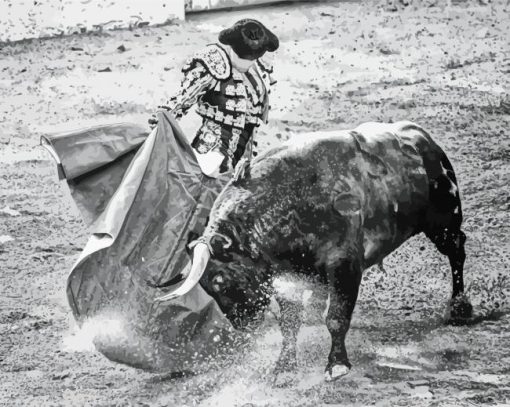 Black And White Bull And Matador paint by number
