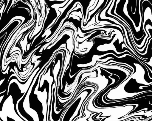 Black And White Abstract paint by number