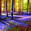 Bluebell Wood paint by number