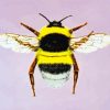 Bumblebee Insect paint by number