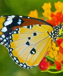 Butterfly With Orange Flowers paint by number