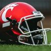 Cincinnati Bearcats American Football Team Helmet paint by number
