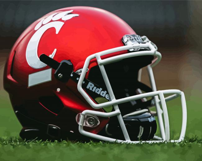 Cincinnati Bearcats American Football Team Helmet paint by number