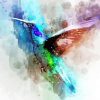 Colorful Abstract Hummingbird Art paint by number
