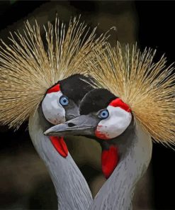 Cute Grey Crowned Crane paint by number