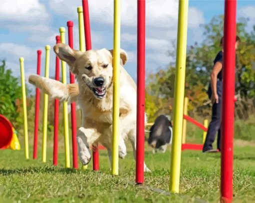 Dog Agility paint by number