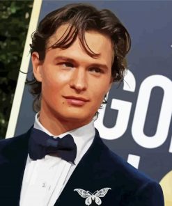 Handsome Ansel Elgort paint by number