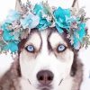 Husky With Flowers Crown paint by number
