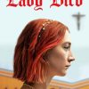 Lady Bird Movie paint by number