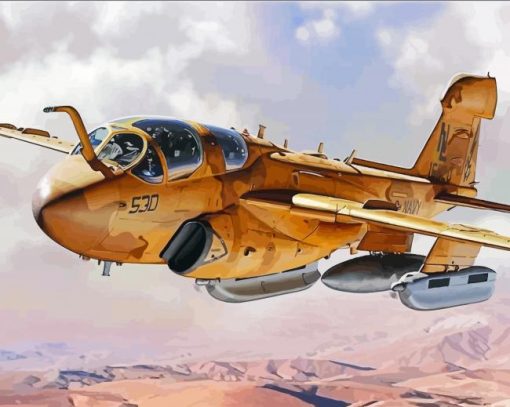 Northrop Grumman EA6B paint by number