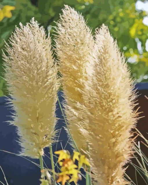 Pampas Grass Plant paint by number