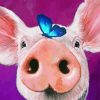 Pig Blue Butterfly paint by number