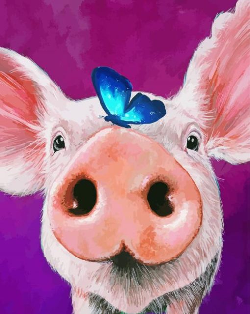 Pig Blue Butterfly paint by number