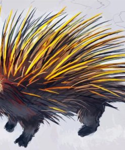 Porcupine Art paint by number