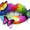 Rainbow Butterfly Lips paint by number