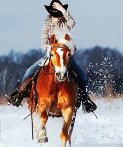 Riding Horse In Snow paint by number